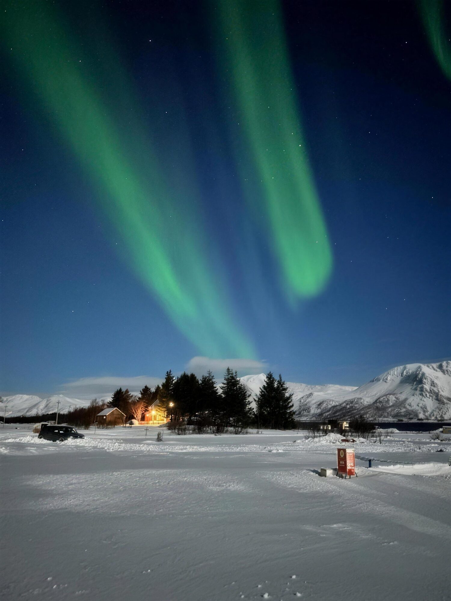 Two green bands of aurora over a snowy field, trees and mountains